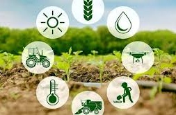 جستجوگر کشاورزی و منابع طبیعی