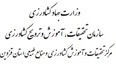 سربرگ