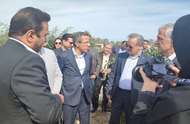 بهره‌وری کشاورزی