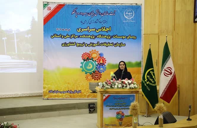 بهره‌وری کشاورزی