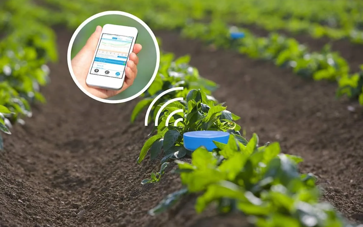 پژوهش و فناوری