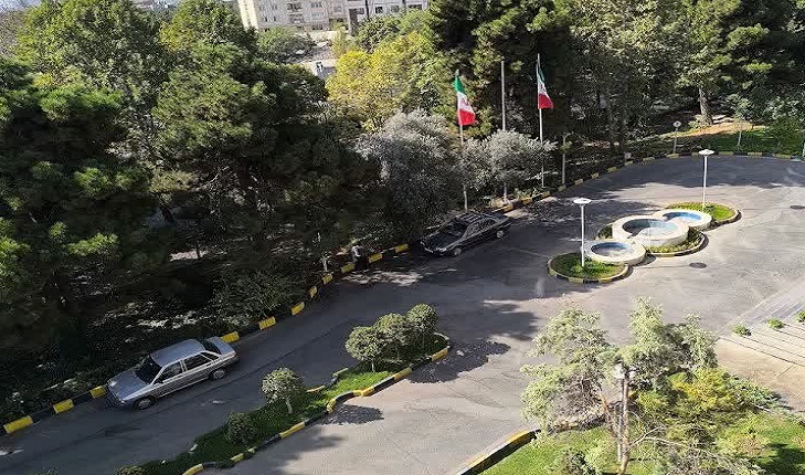 معرفی سازمان