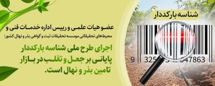 گزارش تصویری