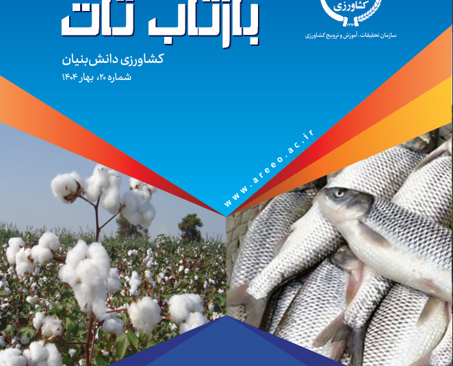گالری - دفتر امور فناوری