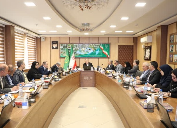سازمان تات