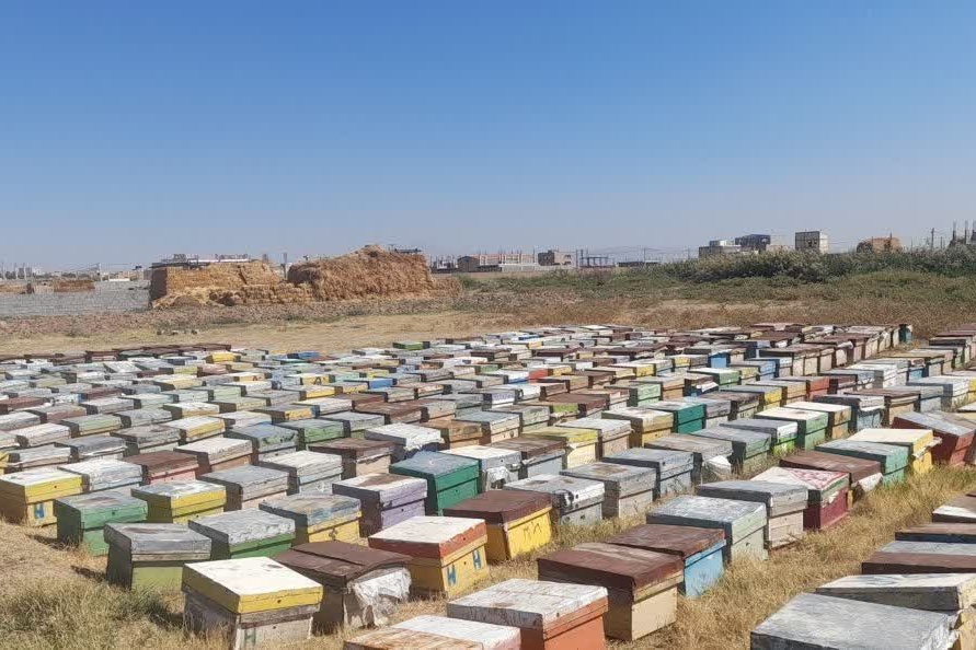 گالری عکس