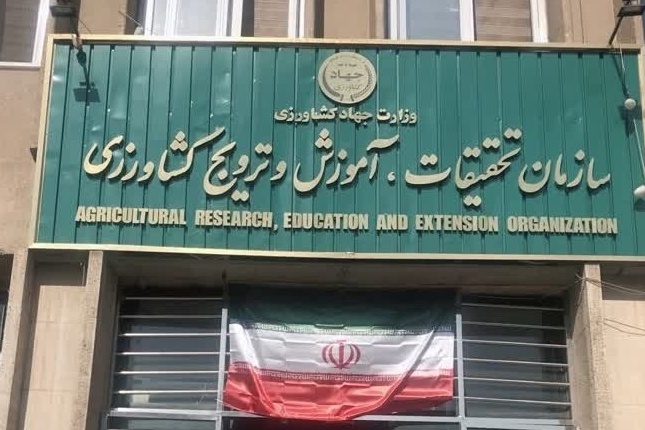 معرفی سازمان