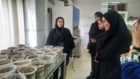 برگزاری تور علمی–آموزشی دانشجویان محیط‌زیست مهدیشهر در مرکز تحقیقات کشاورزی و منابع طبیعی استان سمنان