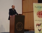گزارش تصویری همایش گرامیداشت هفته پژوهش در موسسه با حضور گسترده پژوهشگران، مسولان و دامداران پیشرو