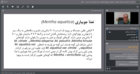 برگزاری دوره آموزشی ملی «کشت و پرورش سبزیجات برگی (ریحان، نعناع و شاهی)» به‌صورت غیرحضوری