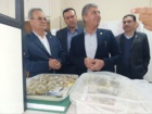 بازدید معاون وزیر و رئیس سازمان تات، به همراه مدیر کل دفتر حوزه ریاست دکتر قاسمی بزدی و مشاور در امور موسسات دکتر محمدپور از مؤسسه تحقیقات پنبه کشور