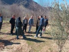 انتقال دانش تخصصی هرس و مدیریت آفات زیتون به باغداران با حضور محققان مرکز تات لرستان