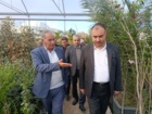 بازدید رئیس مؤسسه تحقیقات ثبت و گواهی بذر و نهال از ایستگاه کهریز و نهالستان‌های مرکز تحقیقات کشاورزی آذربایجان غربی
