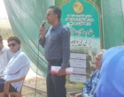 روز مزرعه خصیل جو