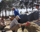 پسماندهای کشاورزی؛ از کنجاله زیتون تا تفاله پرتقال، جایگزینی راهبردی برای نهاده‌های وارداتی