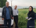 روز انتقال یافته‌های تحقیقاتب «مبارزه با عوامل خسارت‌زای مزارع گندم؛ سن غلات و بیماری زنگ زرد»