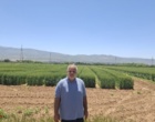 توسعه تحقیقات کاربردی؛ راهبردی مؤثر برای افزایش بهره‌وری کشاورزی در لرستان