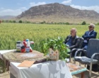آموزش مدیریت داشت گندم در قالب کاروان ترویجی در شهرستان خرم‌آباد