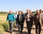 بازدید رئیس سازمان مدیریت و برنامه‌ریزی استان کرمان از ایستگاه تحقیقاتی شهید زنده‌روح
