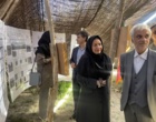 بازدید رئیس مؤسسه تحقیقات جنگل‌ها و مراتع کشور از غرفه تخصصی مرکز تحقیقات و آموزش کشاورزی و منابع طبیعی استان سمنان