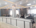 شتاب‌دهی به تکمیل زنجیره ارزش سیب در آذربایجان‌غربی با حمایت از ۱۰ طرح فناورانه