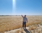 بازدید تخصصی مدیران مرکز از گرمسار و آرادان با محور ارتقای بهره‌وری، توسعه زیرساخت‌ها و تقویت رویکردهای فناورانه
