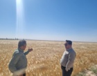 بازدید تخصصی مدیران مرکز از گرمسار و آرادان با محور ارتقای بهره‌وری، توسعه زیرساخت‌ها و تقویت رویکردهای فناورانه