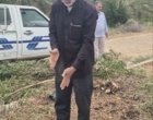 کشت 50 اصله کنار پیوندی در ستاد پژوهشکده خرما و میوه‌های گرمسیری با مشارکت مدیریت باغبانی سازمان جهادکشاورزی