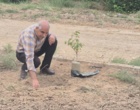 کشت 50 اصله کنار پیوندی در ستاد پژوهشکده خرما و میوه‌های گرمسیری با مشارکت مدیریت باغبانی سازمان جهادکشاورزی
