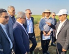 بازدید از ایستگاه تحقیقات کشاورزی مغان، در جریان بیست‌ویکمین سفر استانی معاون وزیر جهاد کشاورزی و رئیس سازمان تات