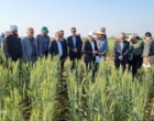 بازدید از ایستگاه تحقیقات کشاورزی مغان، در جریان بیست‌ویکمین سفر استانی معاون وزیر جهاد کشاورزی و رئیس سازمان تات