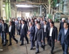 بازدید دکتر غلامرضا گل‌محمدی، معاون وزیر جهاد کشاورزی و رئیس سازمان تحقیقات، آموزش و ترویج کشاورزی (تات)، به اتفاق هیات همراه، از شرکت کشت و صنعت پارس