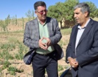 الگوسازی مرکز تحقیقات اصفهان در جهت توسعه کشاورزی دانش بنیان