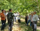 برگزاری رویداد روز مزرعه در  کاکاشرف خرم‌آباد