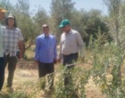 کارگاه آموزشی «شناخت چالش‌های زیستی پسیل زیتون و مدیریت علمی کنترل آن» برگزار شد