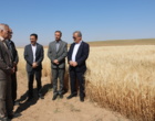 میانگین استفاده از بذرهای رسمی غلات در خراسان شمالی بالاتر از میانگین کشور است
