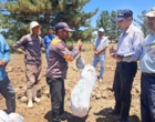 برنامه انتقال یافته های تحقیقاتی در روز مزرعه چغندر قند پاییزه موضوع برداشت چغندر قند در شهرستان سرخس