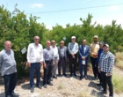برگزاری کارگاه آموزشی مهارتی مدیریت تلفیقی کرم گلوگاه انار با رویکرد نوین و فناورانه در استان سمنان