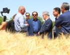بازدید معاون وزیر جهاد کشاورزی از ظرفیت‌های پژوهشی، فناورانه و تولیدی مرکز تحقیقات و آموزش کشاورزی و منابع طبیعی استان قزوین