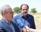 بازدید معاون وزیر جهاد کشاورزی از ظرفیت‌های پژوهشی، فناورانه و تولیدی مرکز تحقیقات و آموزش کشاورزی و منابع طبیعی استان قزوین