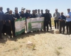 ضرورت جایگزینی کشت بهاره با پاییزه و مکانیزاسیون در نخود دیم؛ برگزاری کارگاه ترویجی انتقال یافته‌ها در الیگودرز