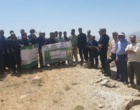 ضرورت جایگزینی کشت بهاره با پاییزه و مکانیزاسیون در نخود دیم؛ برگزاری کارگاه ترویجی انتقال یافته‌ها در الیگودرز