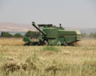 برداشت موفق کلزا رقم «نیلوفر» در پردیس تحقیقات و آموزش کشاورزی بروجرد