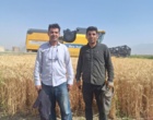 آغاز عملیات برداشت مزارع تکثیری غلات در پردیس تحقیقات کشاورزی بروجرد