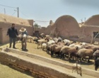 حضور میدانی محقق معین مرکز سمنان در دهستان کردوان