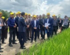 سفر استانی معاون وزیر و رئیس سازمان تات دکتر غلامرضا گل محمدی و هیات همراه به استان گیلان به مناسبت روز ملی برنج