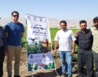 آزمون میدانی فناوری در برابر سُنَت؛ مقایسه کارایی پهپاد سمپاش و روش مرسوم در کنترل کنه تارتن مزارع لوبیا در بروجرد