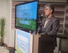 روز ملی برنج؛ هم‌افزایی پژوهش، سیاست‌گذاری و تولید برای جهش بهره‌وری و کاهش وابستگی به واردات