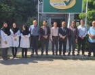 ظرفیت‌های کردستان در زنجیره پژوهش، تولید و گواهی بذر بررسی شد