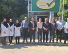 ظرفیت‌های کردستان در زنجیره پژوهش، تولید و گواهی بذر بررسی شد